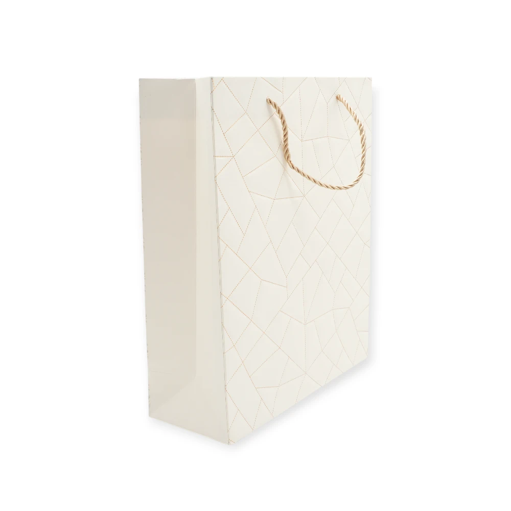 Paper Gift Bag - 1866-M - სასაჩუქრე მუყაოს ჩანთა, M ზომა pg-16291 